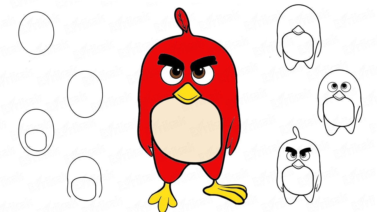 Как нарисовать Реда из “Angry Birds”
